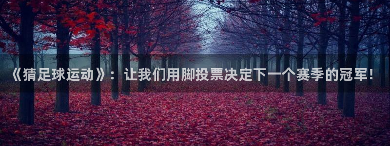 JJB竞技宝官方正版app开户：《猜足球运动》：让我