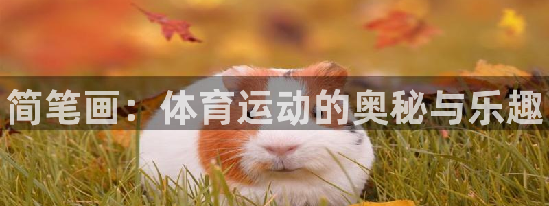 JJB竞技宝官方正版app娱乐：简笔画：体育运动的奥