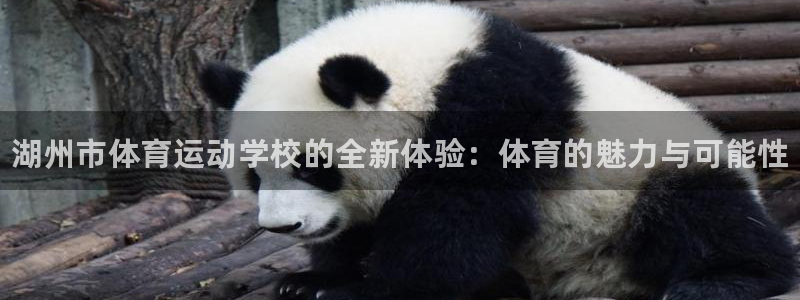 JJB竞技宝官方正版app集团E.ON：湖州市体育运