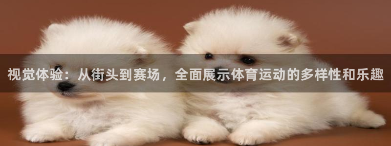 海南JJB竞技宝官网下载：视觉体验：从街头到赛场，全