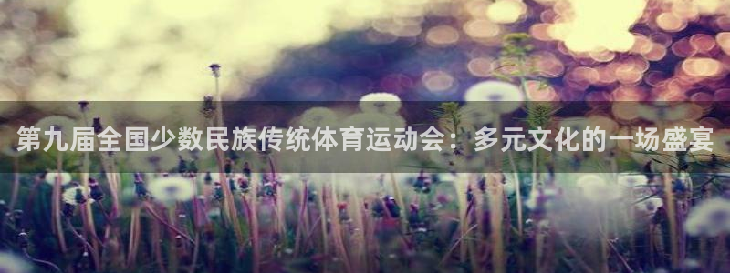 德国JJB竞技宝官方正版app集团：第九届全国少数民