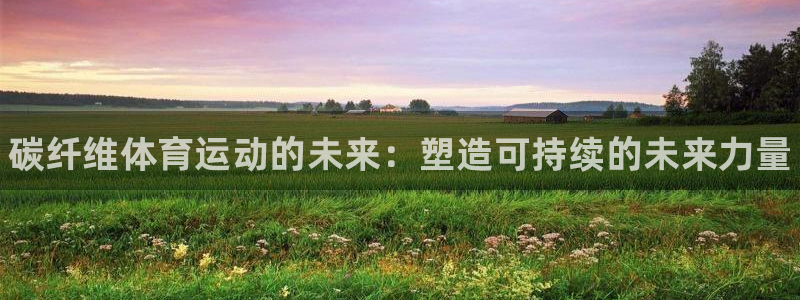 JJB竞技宝官网下载平台注册要钱吗是真的吗：碳纤维体