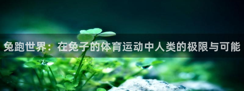 JJB竞技宝官网下载平台是正规平台吗知乎：兔跑世界：在兔子的