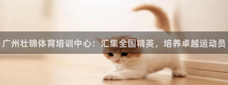 JJB竞技宝官网下载招商电话地址查询：广州壮锦体育培