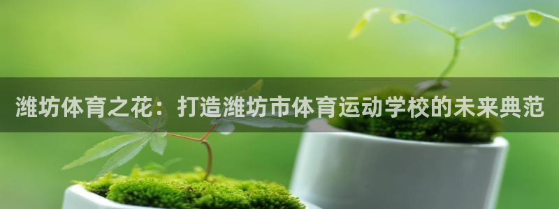 JJB竞技宝官方平台体育：潍坊体育之花：打造潍坊市体育运动学