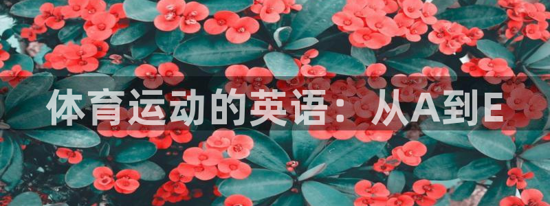 JJB竞技宝官网下载注册：体育运动的英语：从A到E