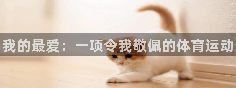 JJB竞技宝官方正版app集团简介