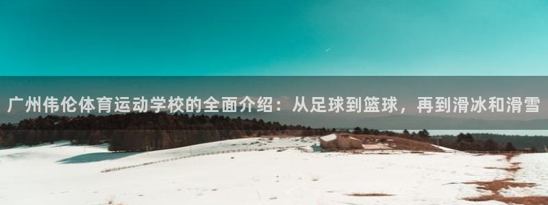 JJB竞技宝官方正版app集团E.ON：广州伟伦体育运动学校
