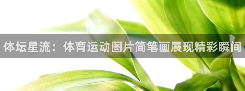 竞技宝黑钱怎么办：体坛星流：体育运动