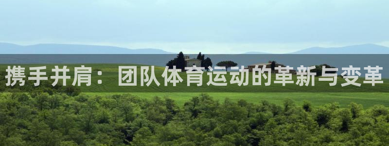 竞技宝手机端下载教程：携手并肩：团队