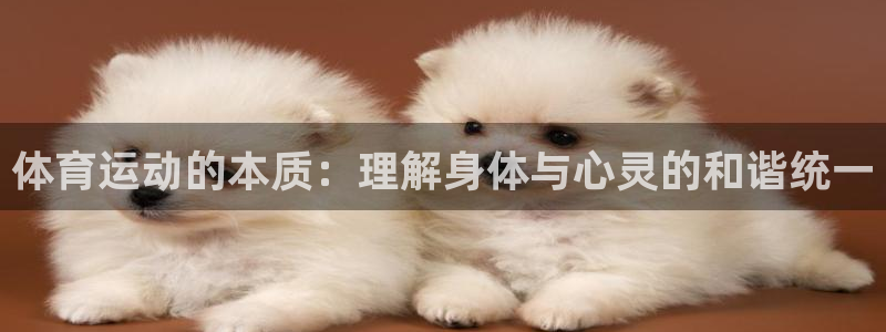 竞技宝app最新版本：体育运动的本质：理解身体与心灵的和谐统