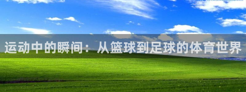 竞技宝在哪下载：运动中的瞬间：从篮球到足球的体育世界