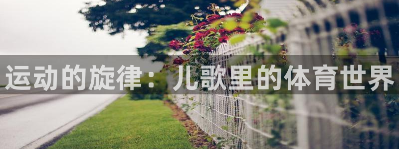 竞技宝平台怎么样可靠吗：运动的旋律：儿歌里的体育世界
