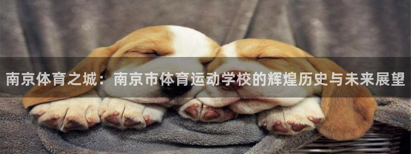  竞技宝官网官方在线登录：南京体育之城：南京市体育运动学校的辉