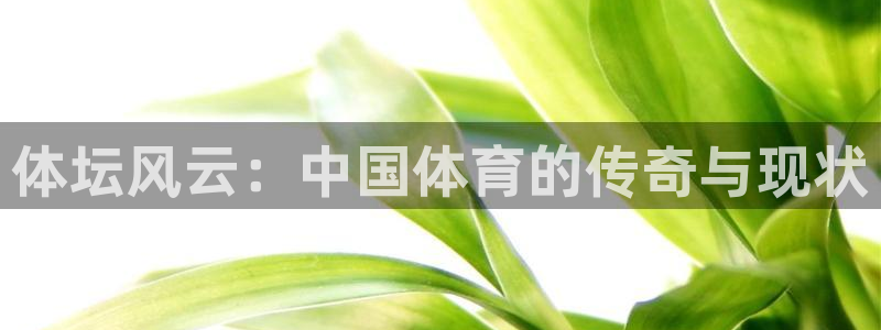 竞技宝是什么关系搜索哈哈电竞：体坛风云：中国体育的传奇与现状