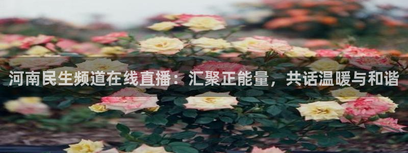 山猫直播足球在线直播：河南民生频道在线直播：汇聚正能量，共话温暖与和谐