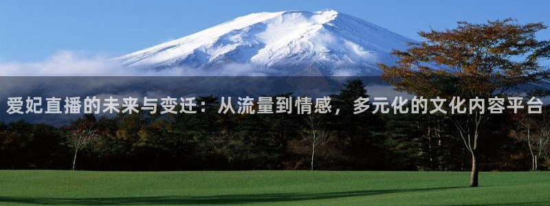山猫体育赛事：爱妃直播的未来与变迁：从流量到情感，多元化的文化内容平台