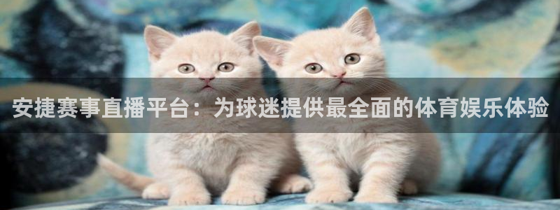 山猫直播体育在线观看：安捷赛事直播平台：为球迷提供最全面的体育娱乐体验