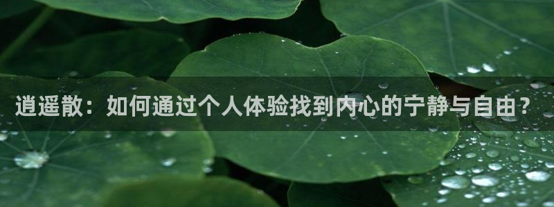 山猫直播足球免费直播在线观看：逍遥散：如何通过个人体验找到内心的宁静与自由？