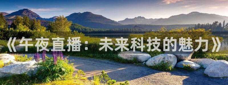 山猫体育网页版：《午夜直播：未来科技的魅力》